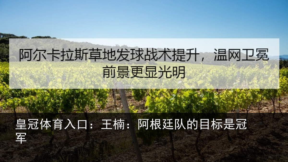 皇冠体育入口：王楠：阿根相关情况